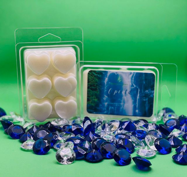 Captivated Wax Melts